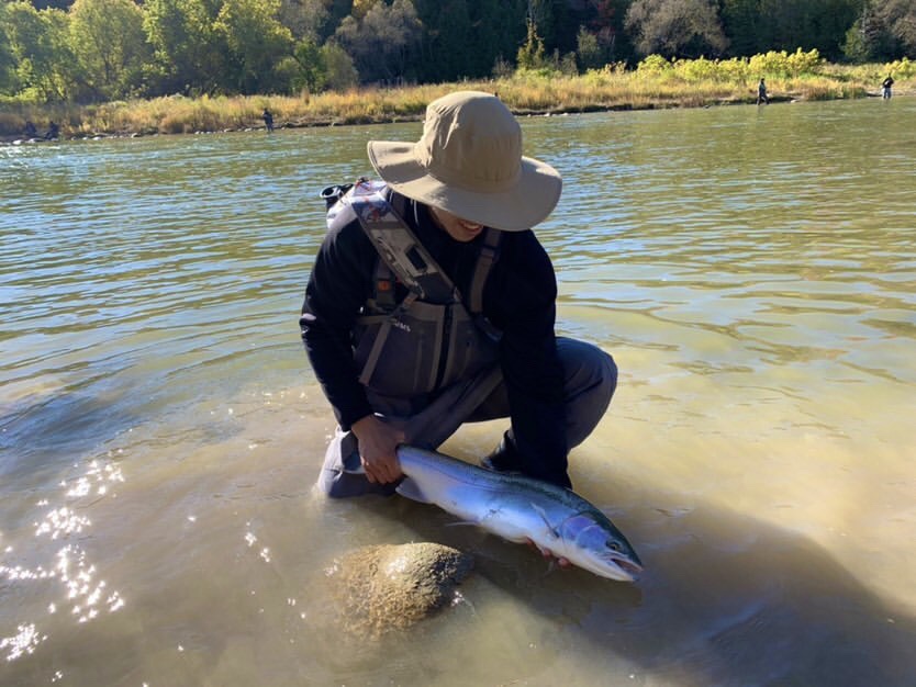 Saugeen River Steelhead Caught Using a Baitcast Float Setup