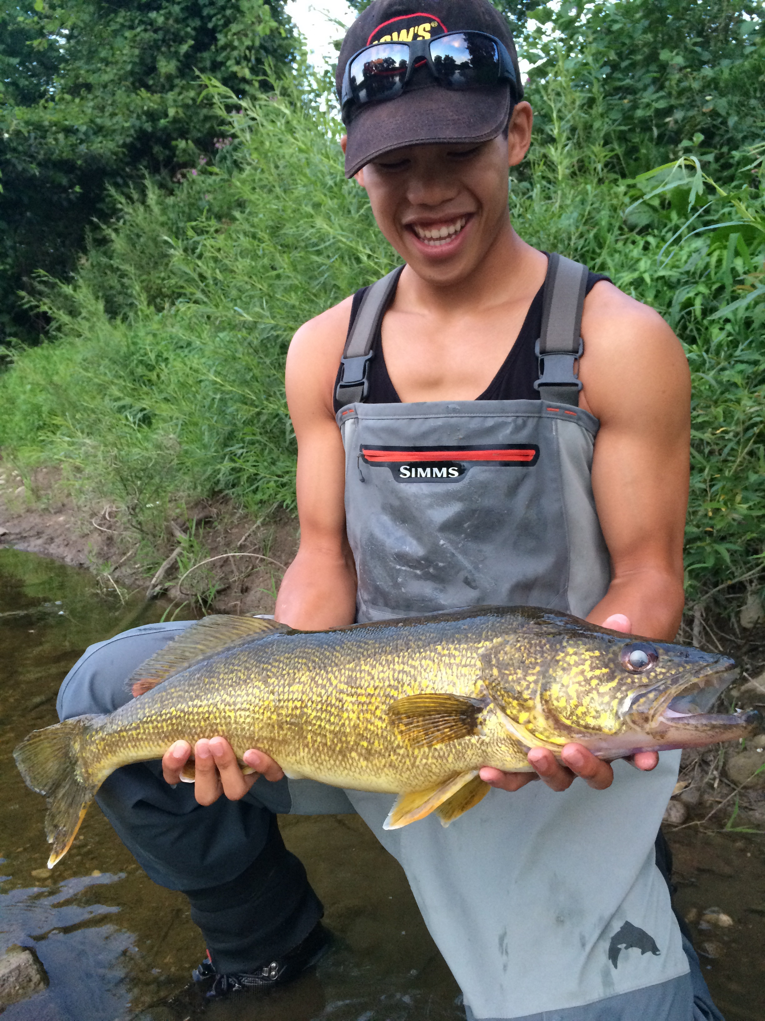 Bank Fishing Walleye with a Jerkbait