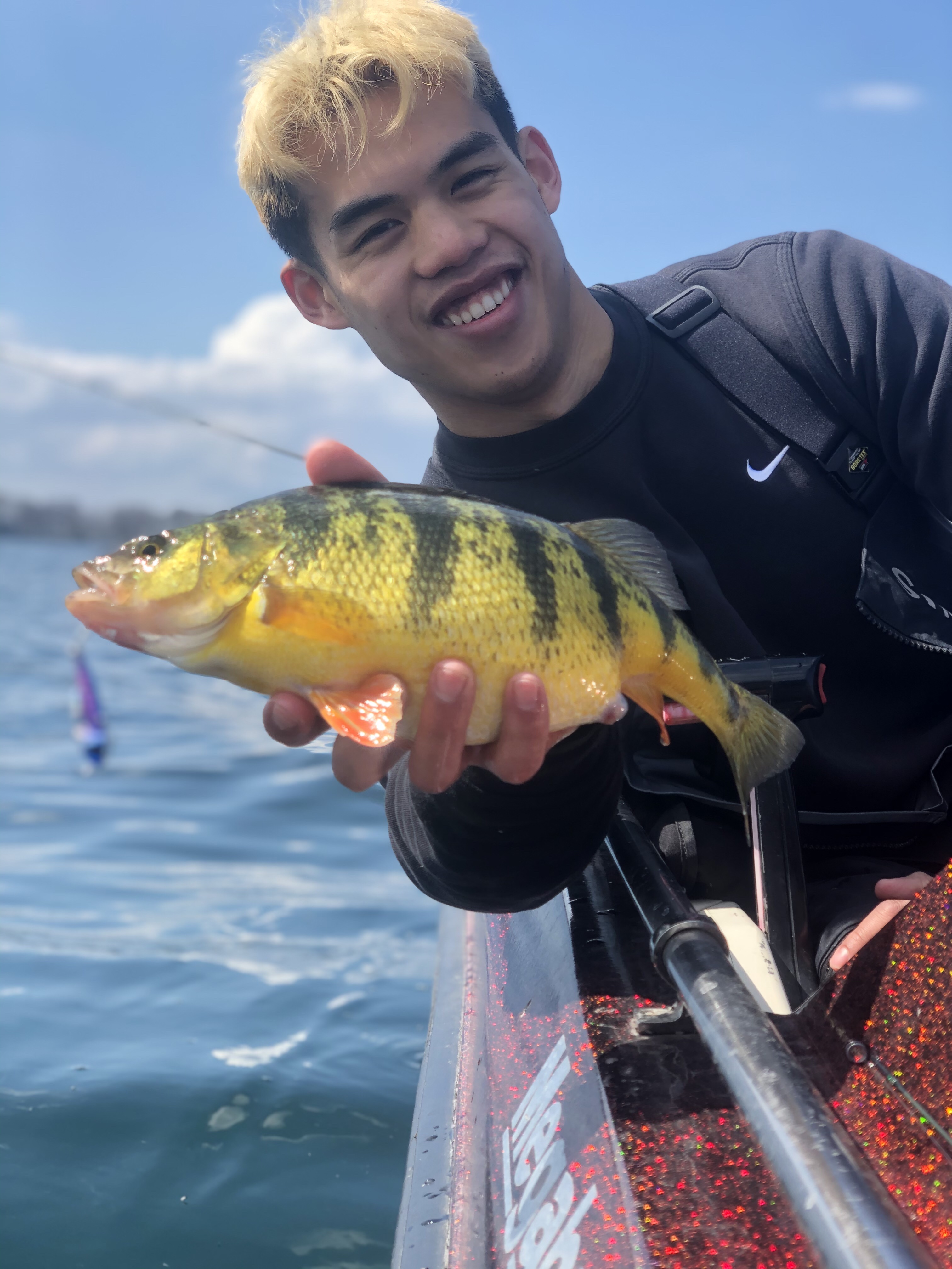 Open Water Lake Simcoe Jumbo Perch
