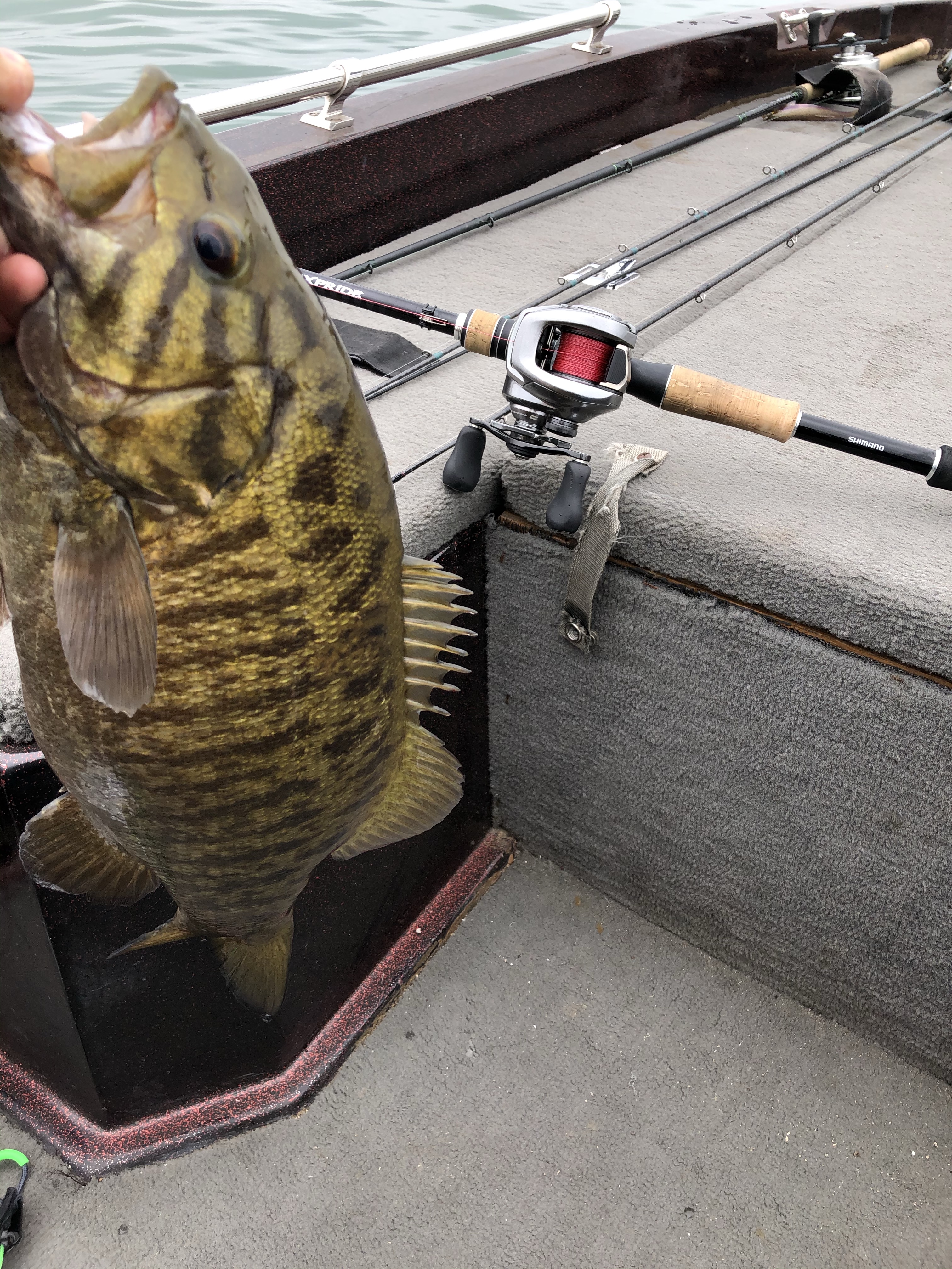 Smallmouth Bass and Shimano Combo