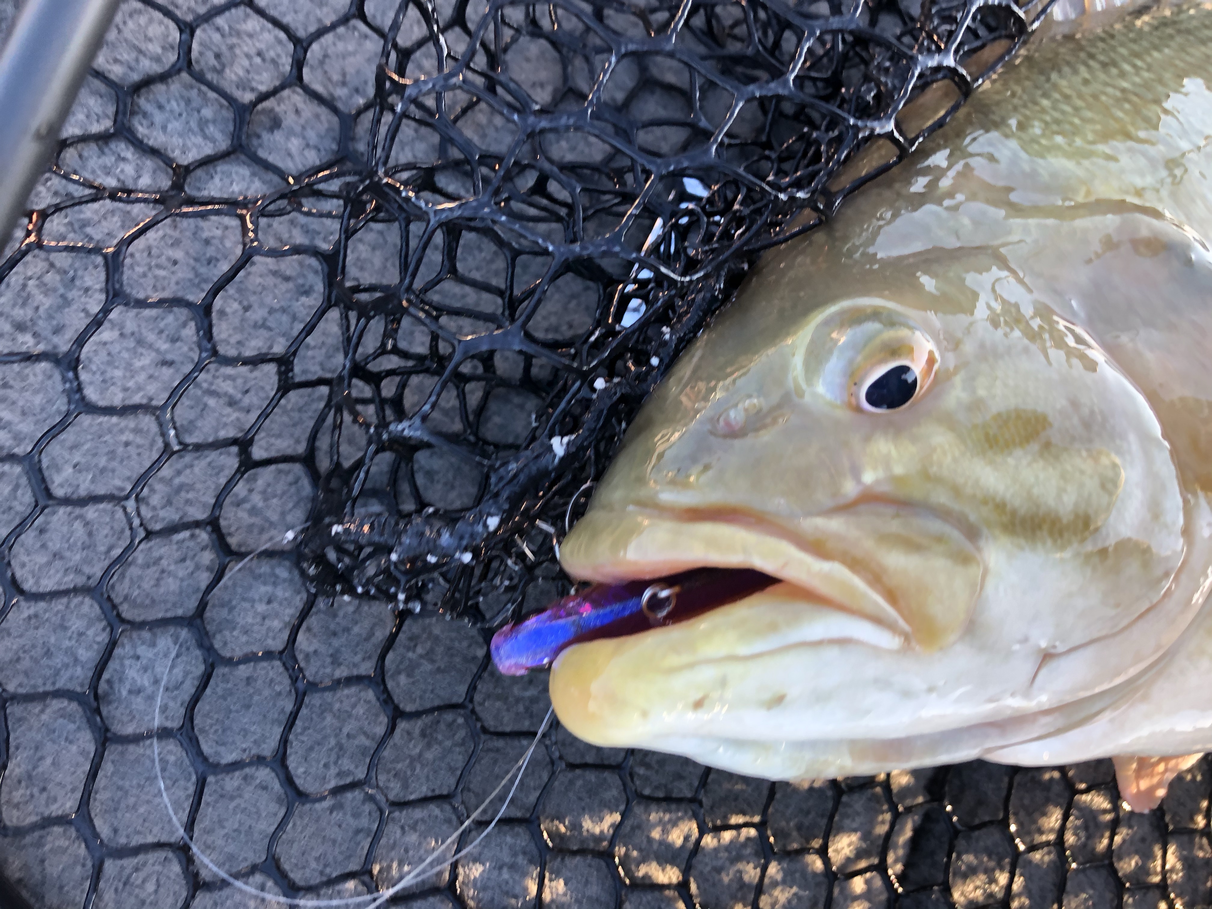 Smallmouth Baits Inhales Duo Realis Lipless Crankbait