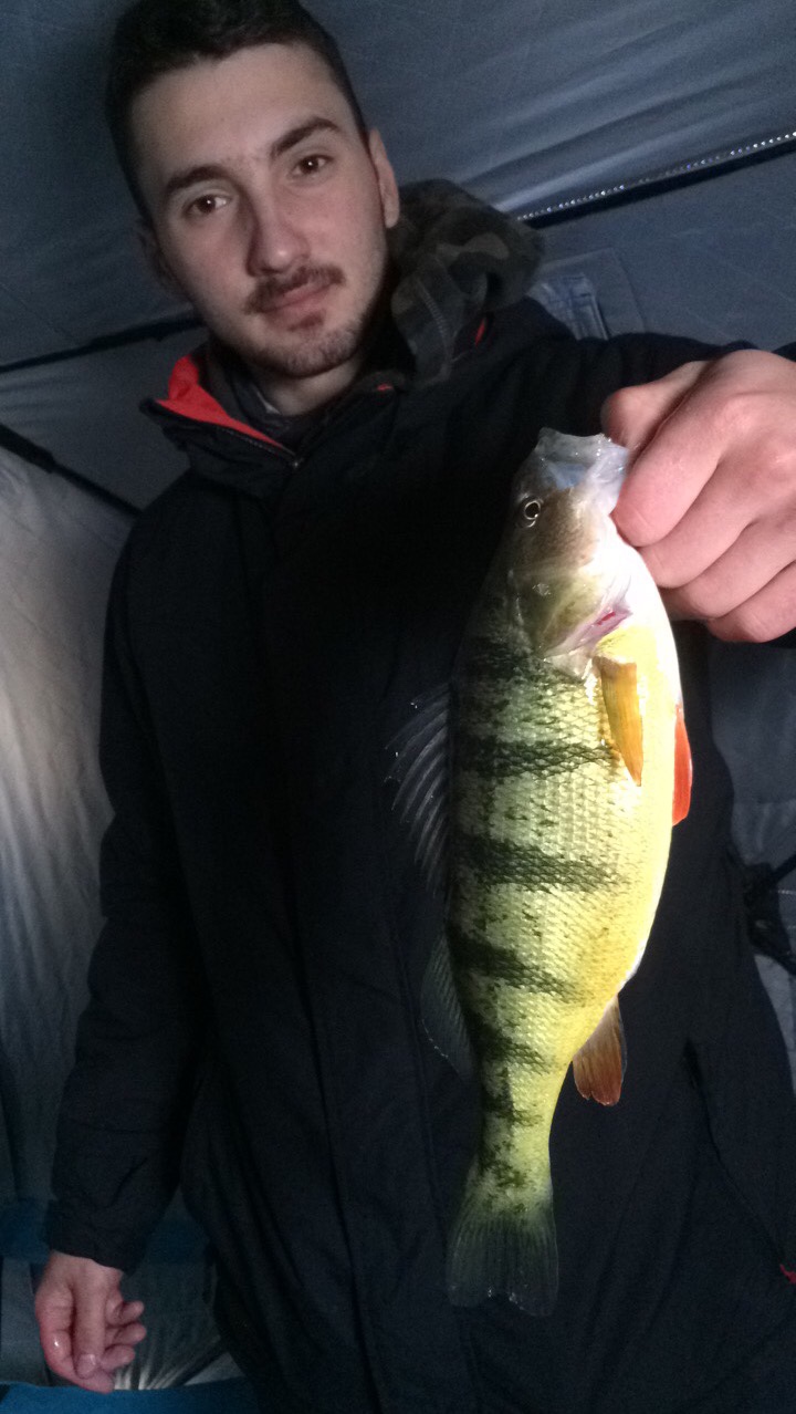 Lucas with a Lake Simcoe Perch