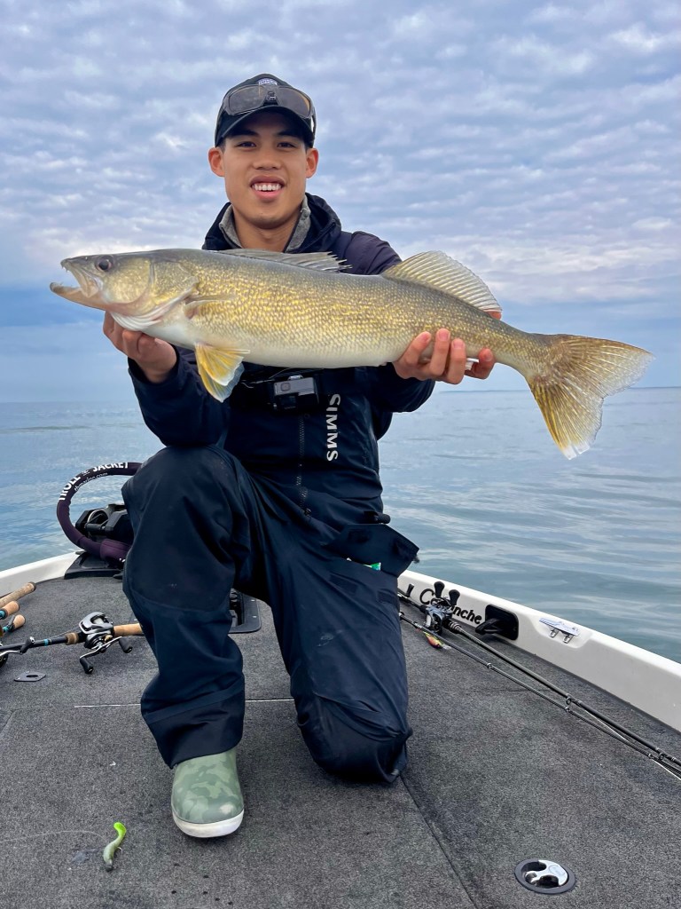 Walleye From Lake Erie