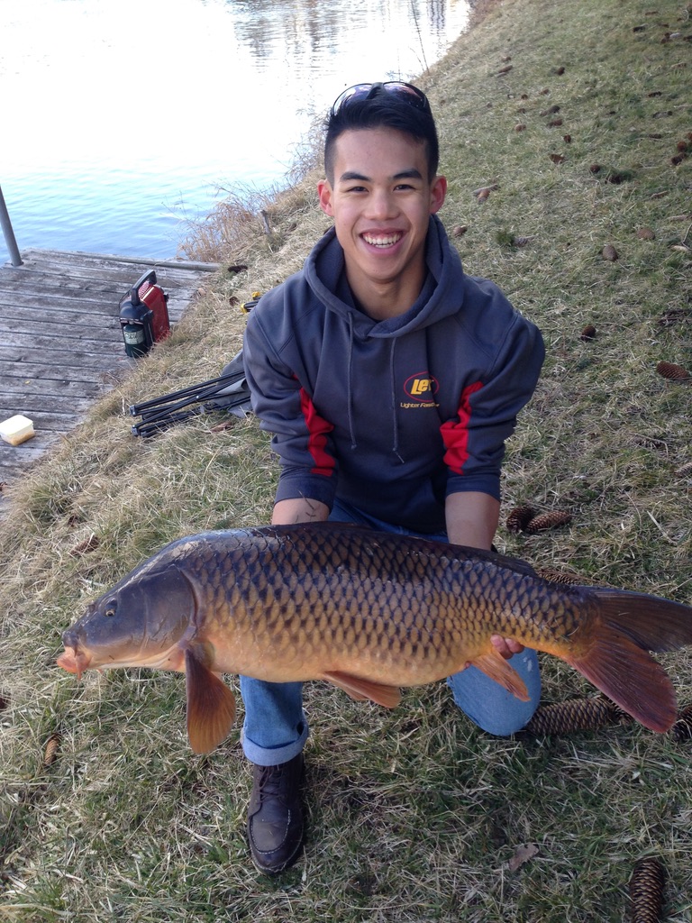 Ontario Carp