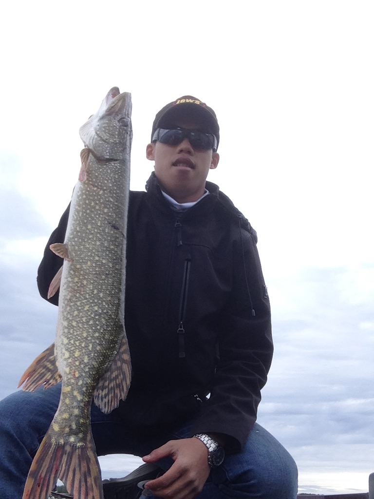 Ontario Northern Pike