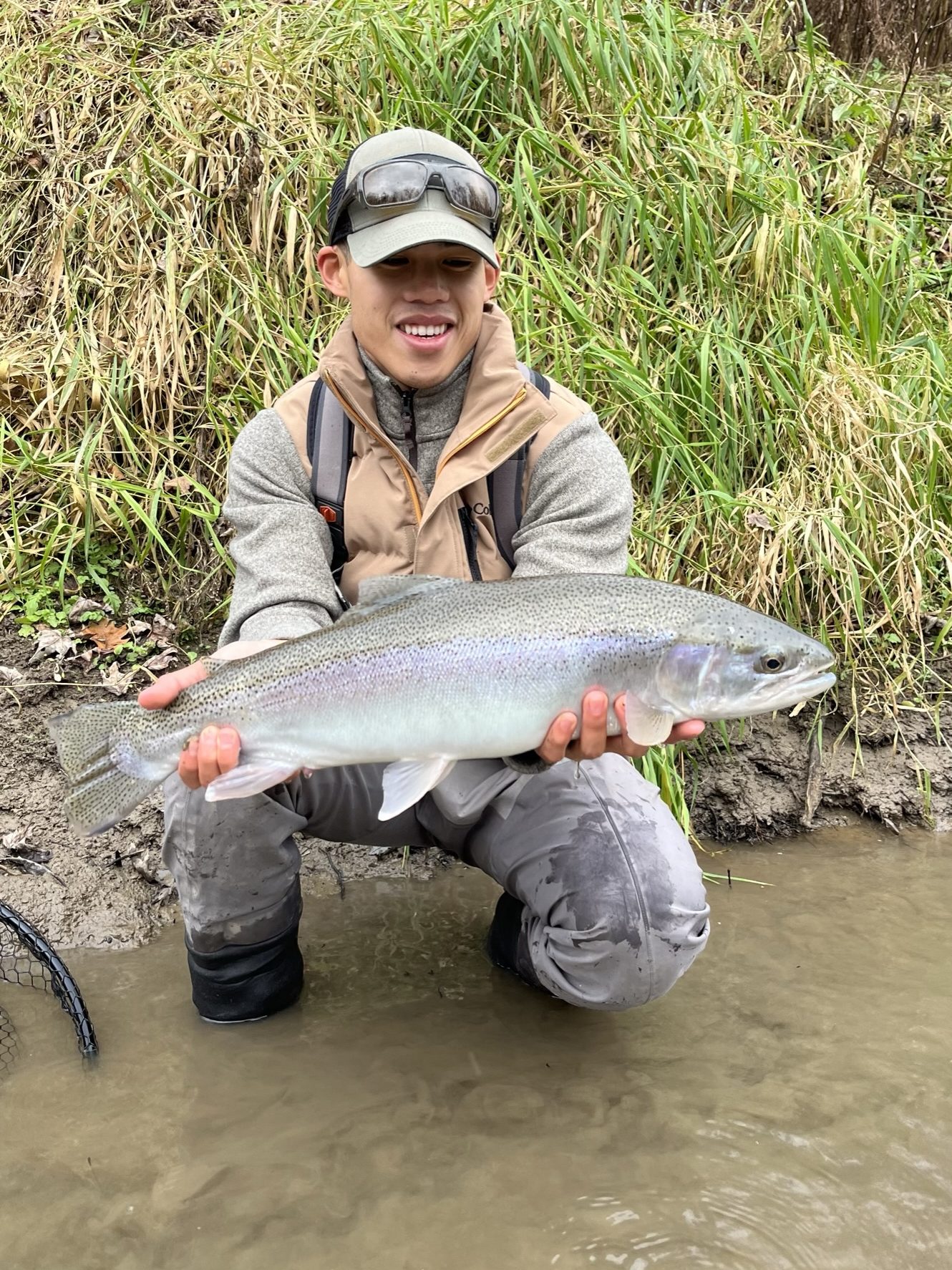 Lake Huron Steelhead - Rainbow Trout