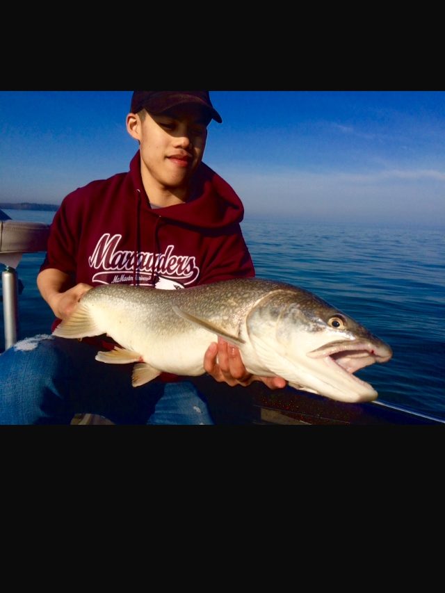 Lake Ontario Lake Trout